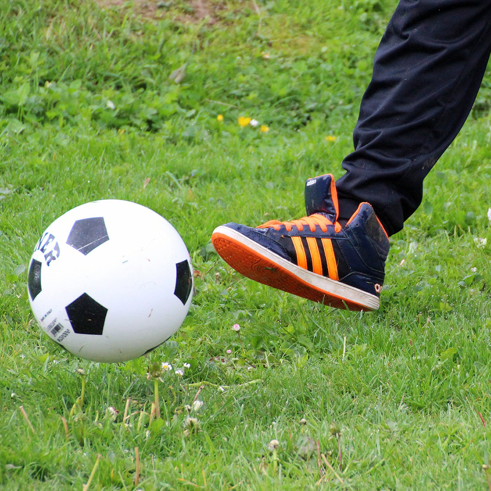 copyright:Myriams-Fotos auf www.pixabay.com